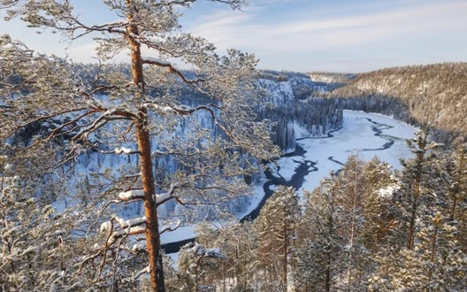 Ấn Độ, một trong những quốc gia có nền văn hóa phong phú nhất thế giới