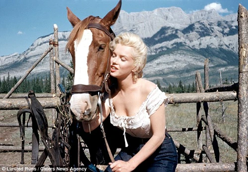 Những bức ảnh chưa từng được công bố của Marilyn Monroe ảnh 8