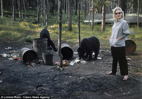 Những bức ảnh chưa từng được công bố của Marilyn Monroe ảnh 7