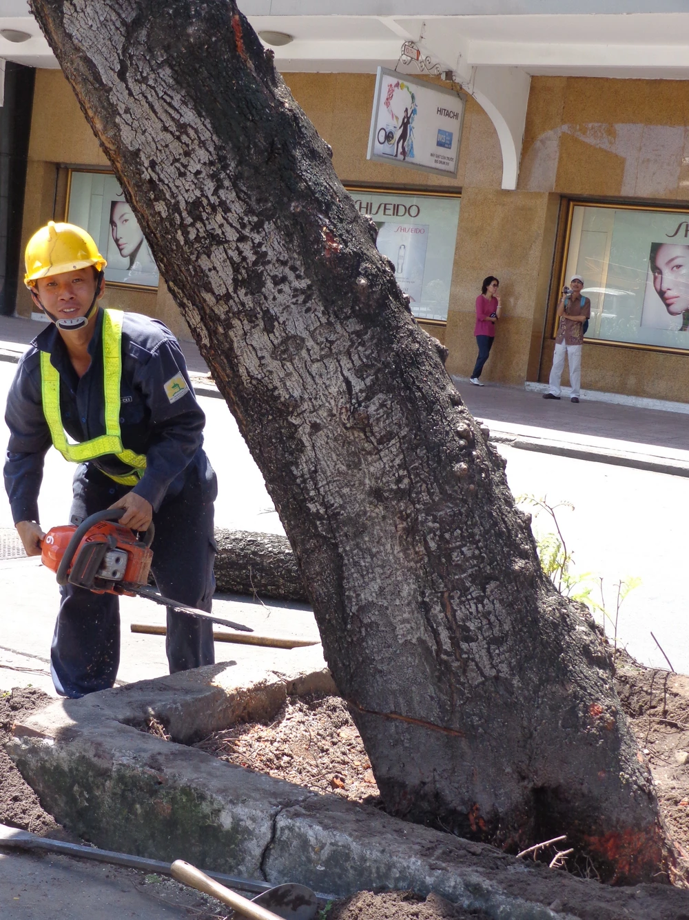 Thư ảnh gửi em Cali: Xao xuyến chia tay hàng cây Sài Gòn ảnh 5