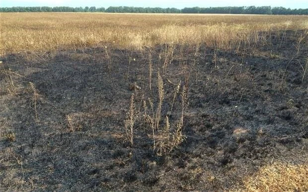 Tìm ra địa điểm nghi đã bắn tên lửa vào chuyến bay MH17 ảnh 1