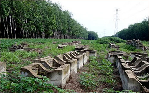 Thu hồi dự án khu công nghiệp thuộc Tập đoàn Tân Tạo ảnh 1