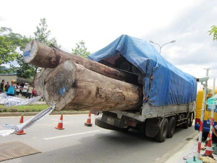 Các xe vi phạm được xử lý kỹ càng