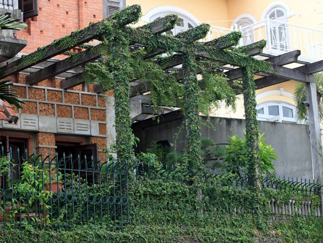 Những căn nhà phủ cây xanh mướt bên bờ hồ Tây ảnh 6