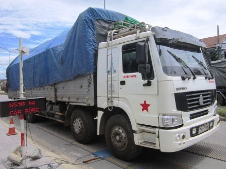 Đoàn xe chở gỗ siêu khủng bị bắt giữ