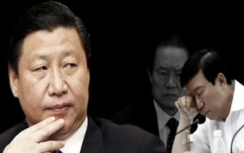 TQ, tham nhũng, Tập Cận Bình, Chu Vĩnh Khang, Chu Dung Cơ