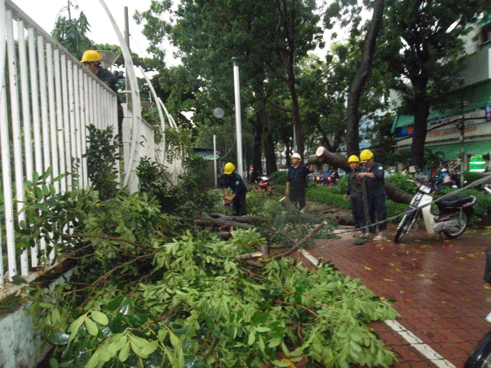 TP.HCM: Hình ảnh đẹp của anh CSGT ảnh 12