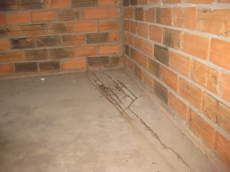 Hiện trường nơi phát hiện vụ việc.