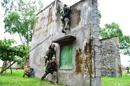 Luyện tập võ thuật tay không. Thực hành kỹ thuật vượt tường nhà cao tầng, tiếp cận mục tiêu. Biểu diễn tiết mục vận nội công của bộ đội trinh sát. Biểu diễn kỹ thuật chiến đấu chống toán, nhóm địch. Trò chơi thể thao rèn luyện thể lực của bộ đội.