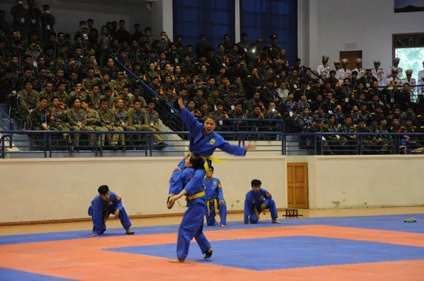 Hội thao võ chiến đấu tay không toàn quân 2014 ảnh 12