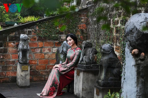 Ngắm nhan sắc Á hậu Huyền My trong áo dài nền nã ảnh 4