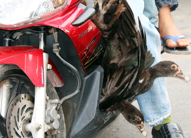 Cửa ngõ Hà Nội, TP.HCM ùn ứ khi người dân trở lại sau kỳ nghỉ ảnh 11