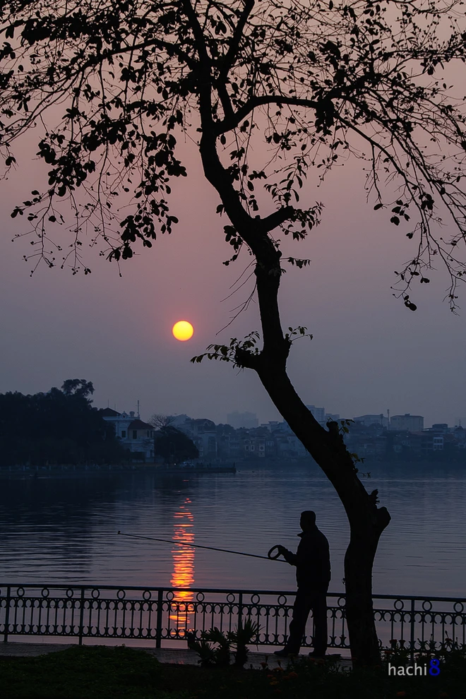 Nét quyến rũ của hồ Tây ngày đông ảnh 3