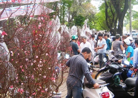 người Bắc, Tết, Sài Gòn