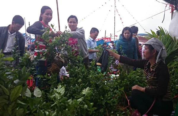 Chưa họp, chợ Viềng đã chật kín người ảnh 10