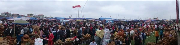 Chưa họp, chợ Viềng đã chật kín người ảnh 8