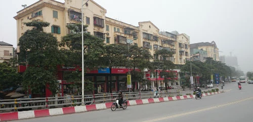 Cận cảnh hàng cây xanh trên đường đẹp nhất Việt Nam trước giờ bị đốn hạ