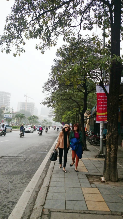 Cận cảnh hàng cây xanh trên đường đẹp nhất Việt Nam trước giờ bị đốn hạ