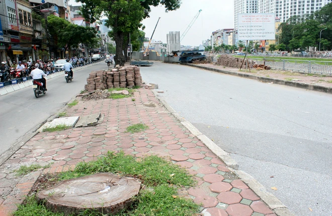 Đường phố Hà Nội trước và sau chặt hạ cây xanh ảnh 5