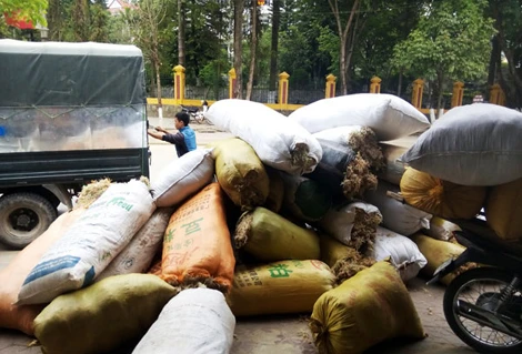 Thêm mặt hàng lạ thương lái Trung Quốc mua gom giá cao: Rêu đá ảnh 2