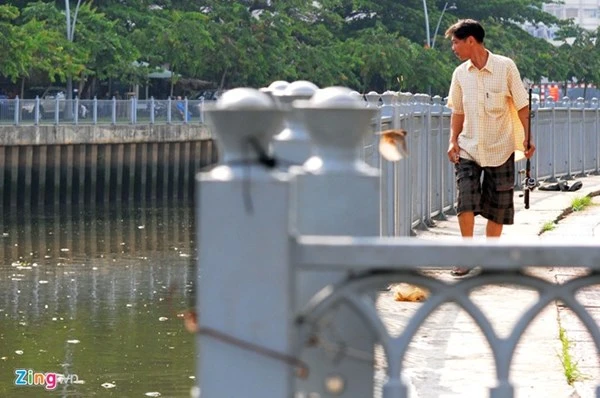 Mỗi ngày vớt hàng trăm ký cá chết ở kênh Nhiêu Lộc ảnh 6