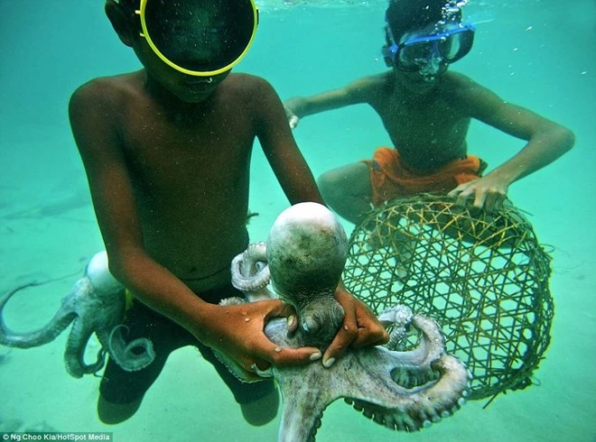 Khám phá cuộc sống như ở xứ sở thần tiên của người Bajau ảnh 4