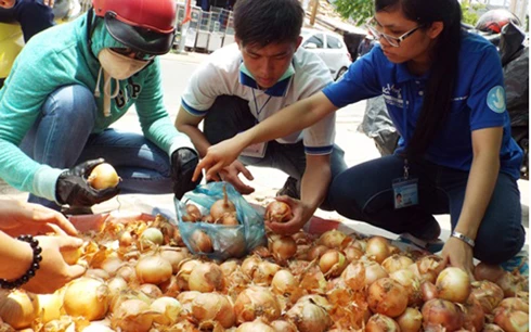 'Giải cứu' hành tây giúp nông dân Đà Lạt ảnh 2 'Giải cứu' hành tây giúp nông dân Đà Lạt ảnh 2