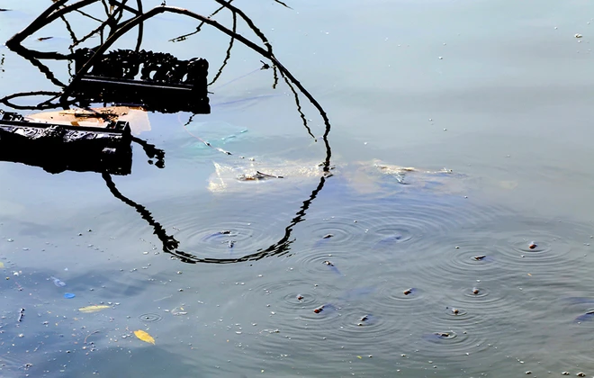 Rác thải tràn mặt hồ bán đảo đẹp nhất thủ đô ảnh 6