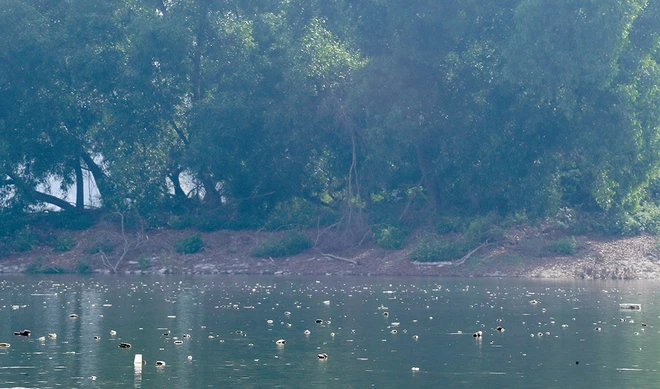 Rác thải tràn mặt hồ bán đảo đẹp nhất thủ đô ảnh 3