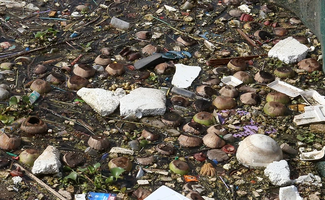 Rác thải tràn mặt hồ bán đảo đẹp nhất thủ đô ảnh 9