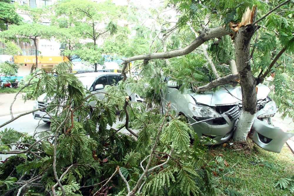 Innova 7 chỗ bẹp dúm sau khi tông gẫy đôi cây trên phố Hà Nội ảnh 6
