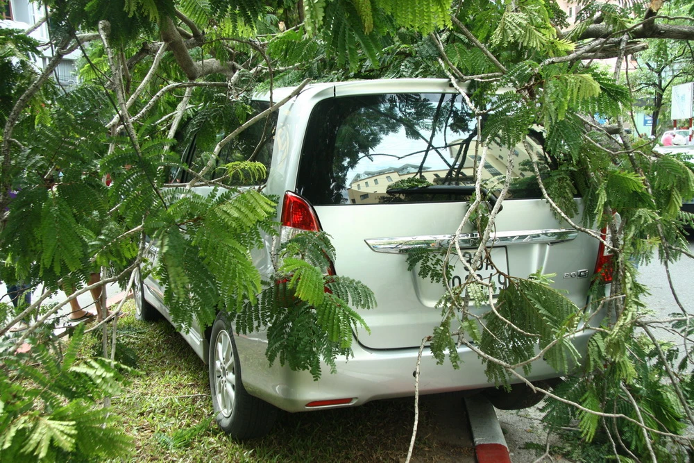 Innova 7 chỗ bẹp dúm sau khi tông gẫy đôi cây trên phố Hà Nội ảnh 7