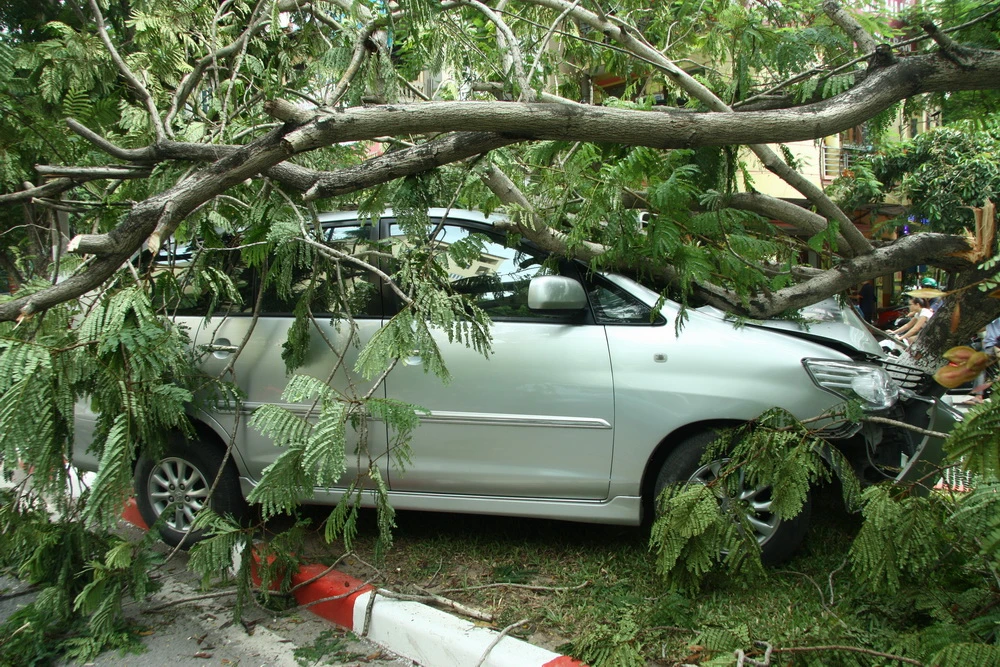 Innova 7 chỗ bẹp dúm sau khi tông gẫy đôi cây trên phố Hà Nội ảnh 8