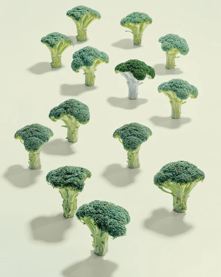 17 thực phẩm tăng cường tuổi thọ ảnh 2