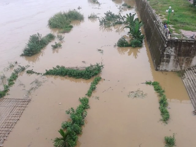 Một vườn rau của người dân bị nước lũ nhấn chìm - Ảnh: Hồng Thảo Một vườn rau của người dân bị nước lũ nhấn chìm - Ảnh: Hồng Thảo