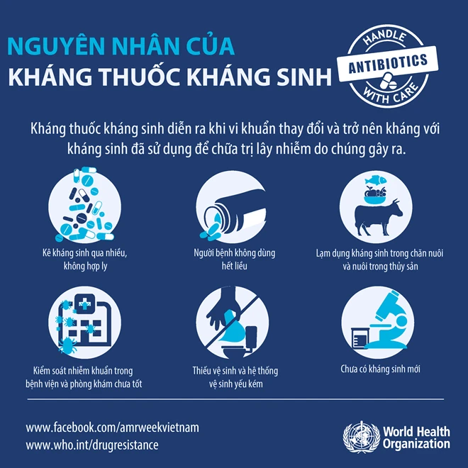 WHO khuyến cáo 5 điểm cần lưu ý khi sử dụng thuốc kháng sinh ảnh 1