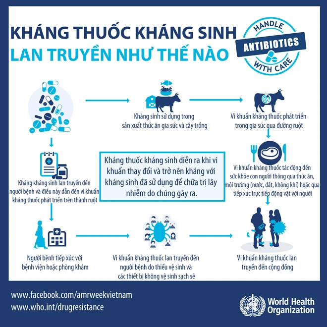 WHO khuyến cáo 5 điểm cần lưu ý khi sử dụng thuốc kháng sinh ảnh 2