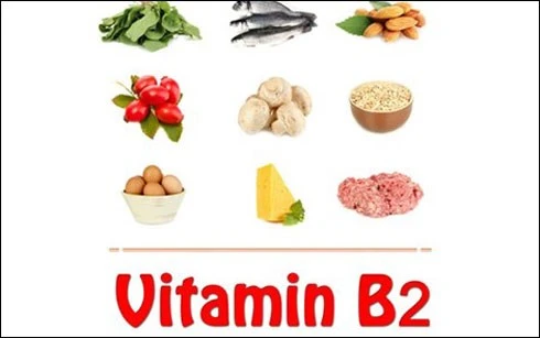 an gi giup tang chieu cao? hinh 0