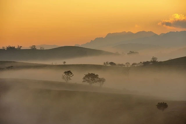  &nbsp;Sương sớm Mộc Châu (Sơn La) 