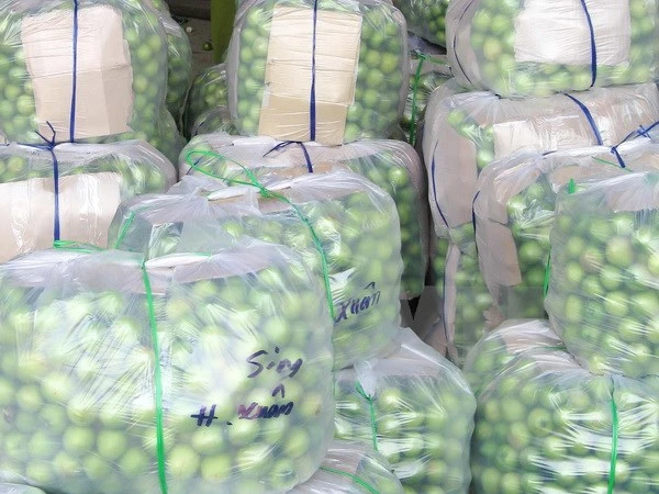 Thực hư chuyện 'táo Ninh Thuận giá chỉ 1.000 đồng/kg' ảnh 1