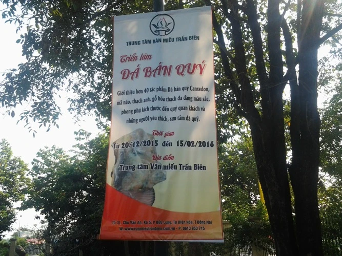 Chùm ảnh: Độc đáo tác phẩm điêu khắc đá Trấn Biên ảnh 13