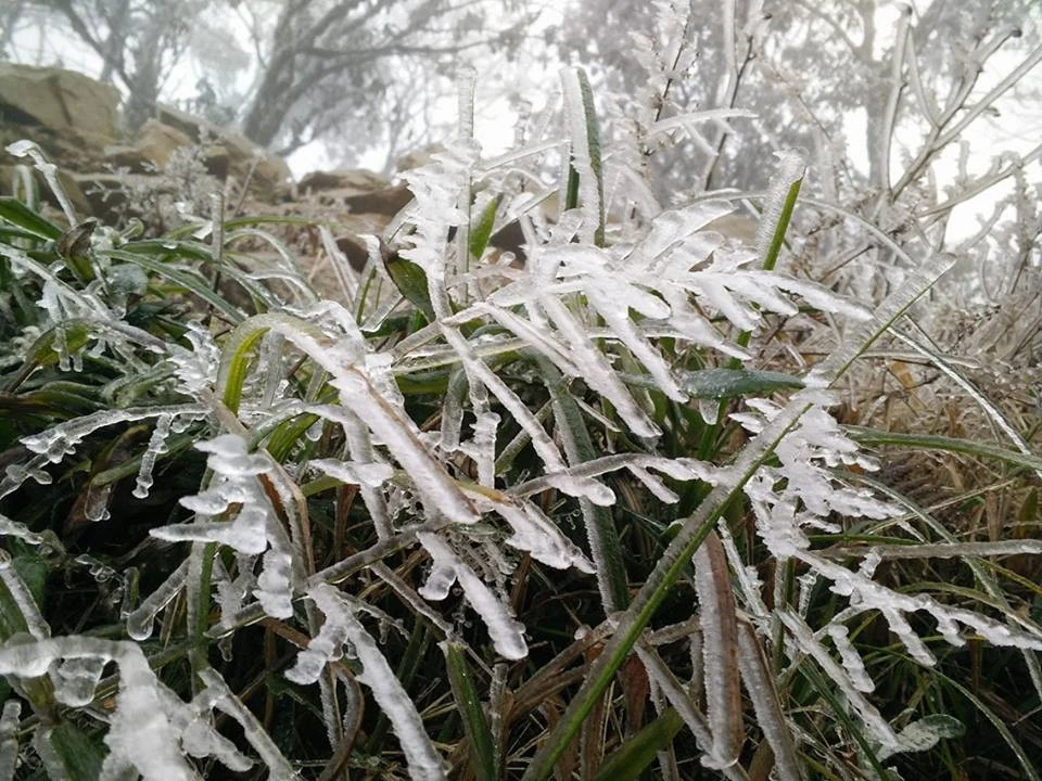 Nhiều nơi ở miền Bắc chìm trong băng tuyết lịch sử âm 6-8 độ C ảnh 22