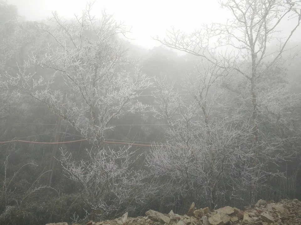 Nhiều nơi ở miền Bắc chìm trong băng tuyết lịch sử âm 6-8 độ C ảnh 21