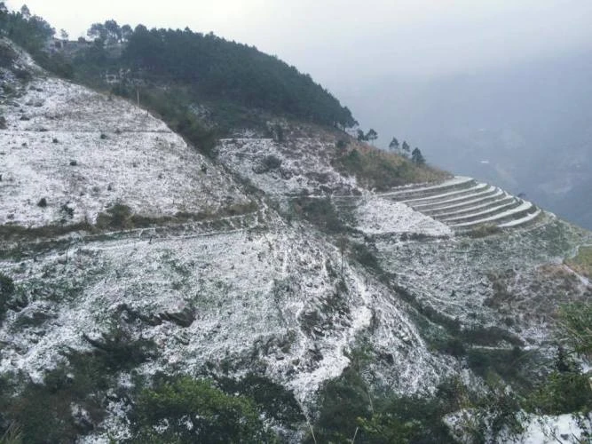 Nhiều nơi ở miền Bắc chìm trong băng tuyết lịch sử âm 6-8 độ C ảnh 4