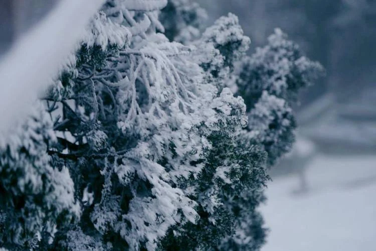 Nhiều nơi ở miền Bắc chìm trong băng tuyết lịch sử âm 6-8 độ C ảnh 5