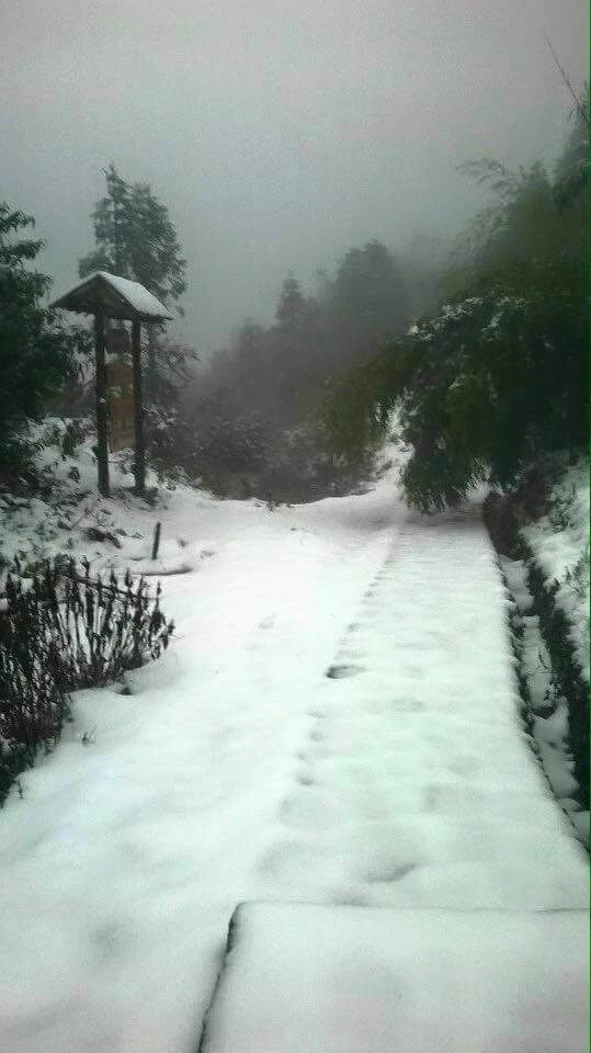 Nhiều nơi ở miền Bắc chìm trong băng tuyết lịch sử âm 6-8 độ C ảnh 13