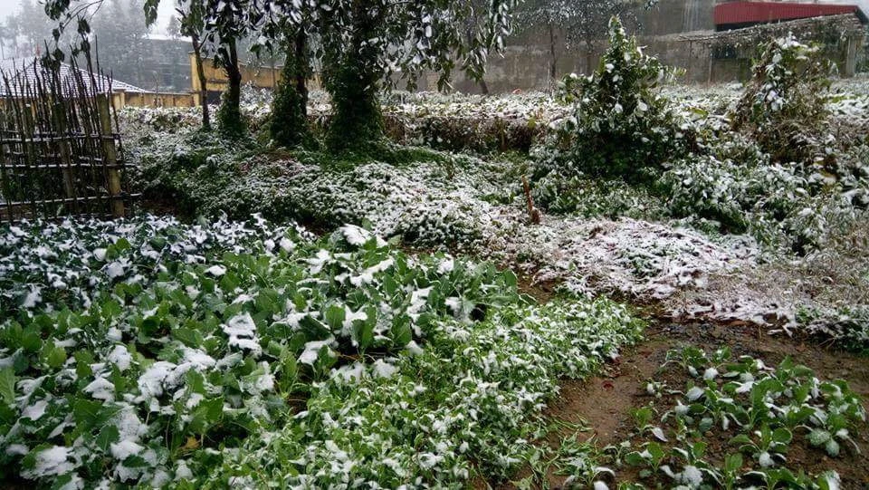 Nhiều nơi ở miền Bắc chìm trong băng tuyết lịch sử âm 6-8 độ C ảnh 12