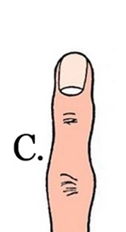 hinh-dang-ngon-tro-tiet-lo-tinh-cach-cua-ban-2