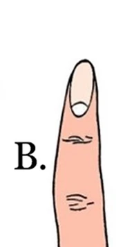 hinh-dang-ngon-tro-tiet-lo-tinh-cach-cua-ban-1