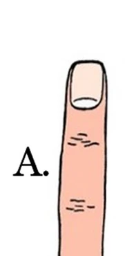 hinh-dang-ngon-tro-tiet-lo-tinh-cach-cua-ban